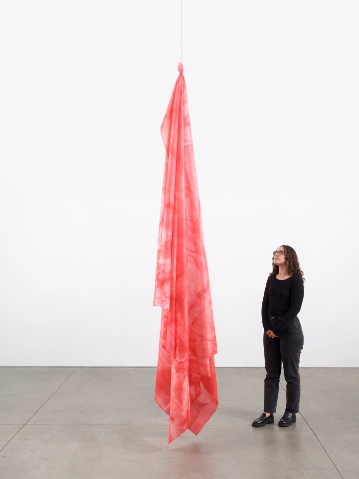 Sam Gilliam, Untitled, 2018