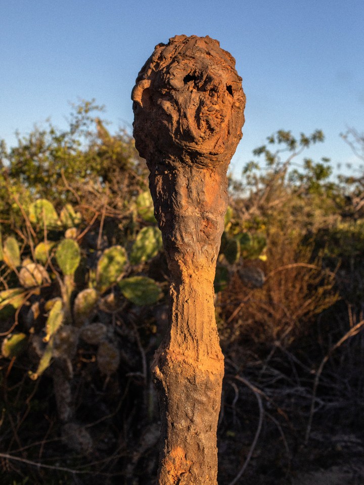 Huma Bhabha