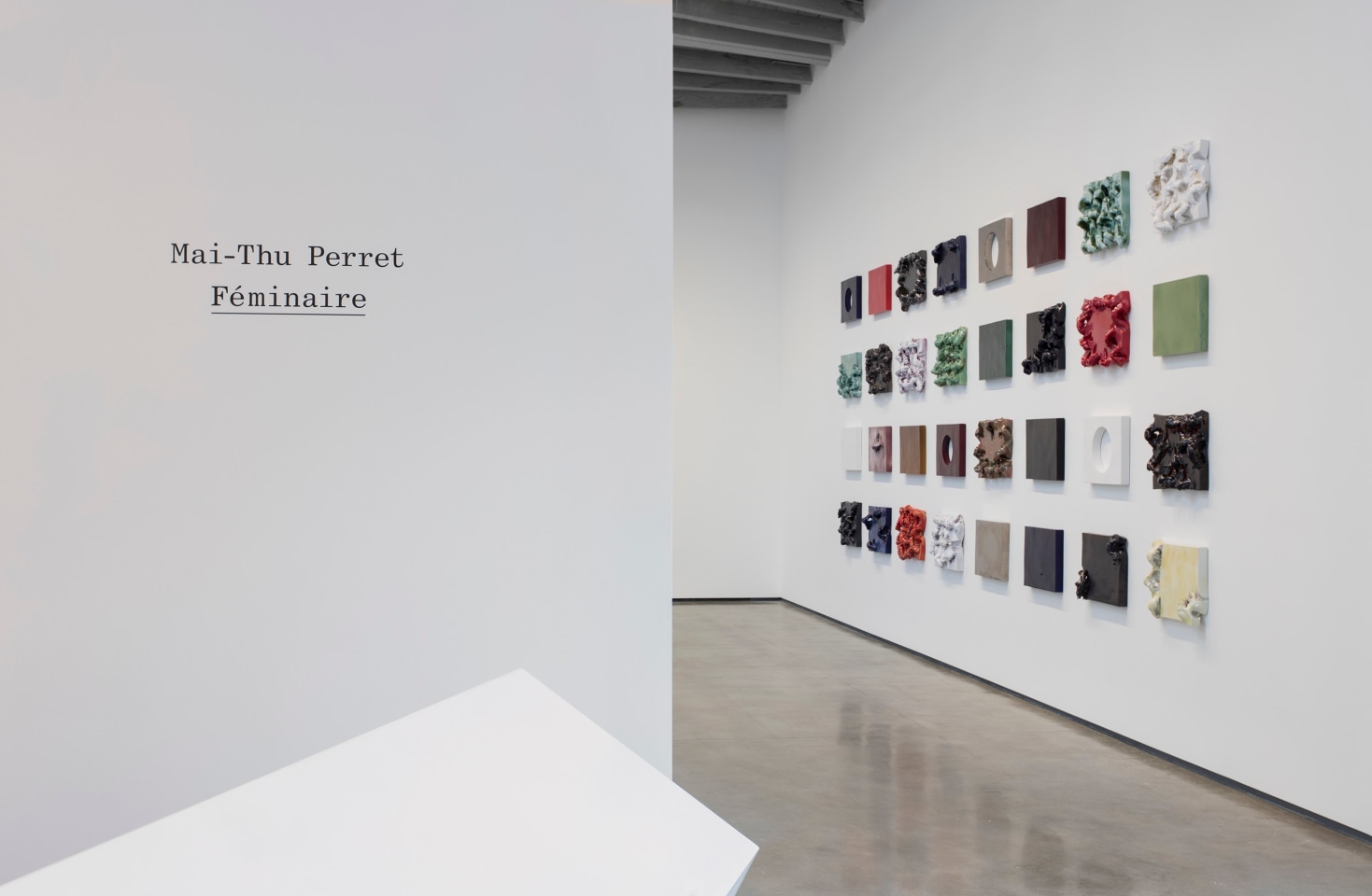 Mai-Thu Perret