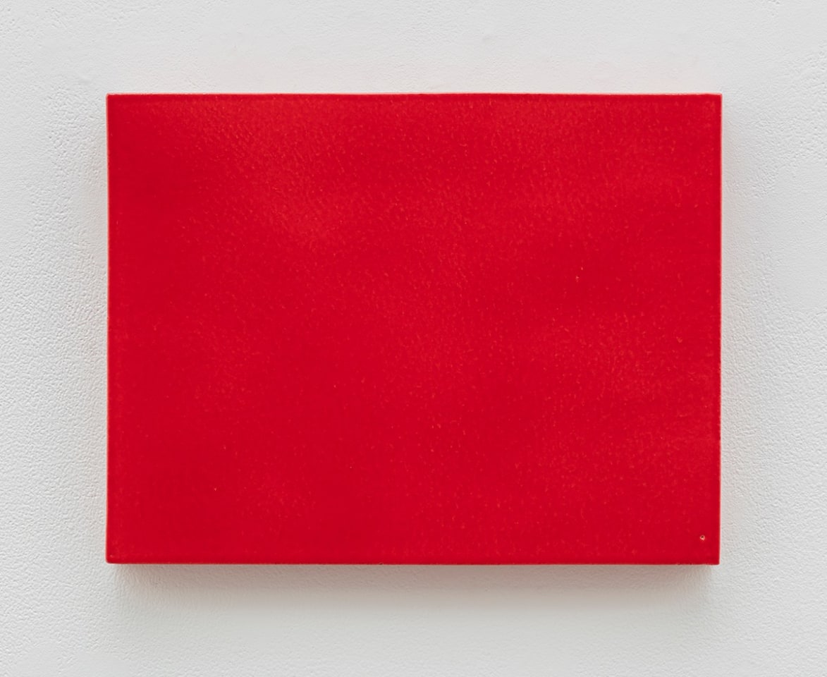 Mai-Thu Perret Come down from the tall trees and enter the dark valley, 2017