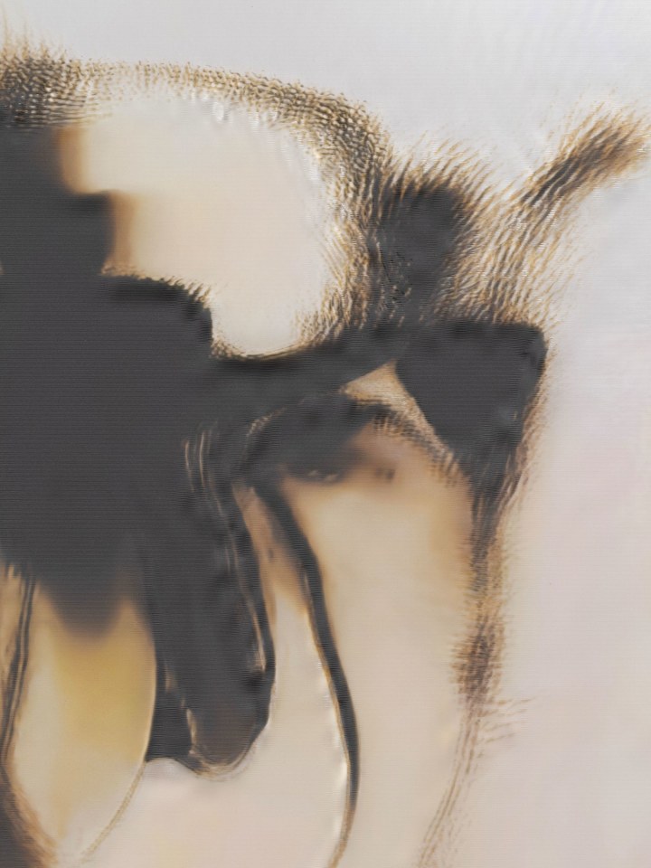 Anicka Yi, &Uacute;&ntilde;K&ntilde;W&ntilde;K, 2025