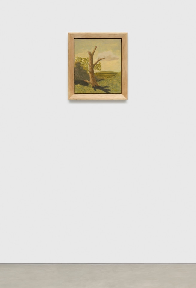 Jared Buckhiester, Continent Of Misbelief, 2025