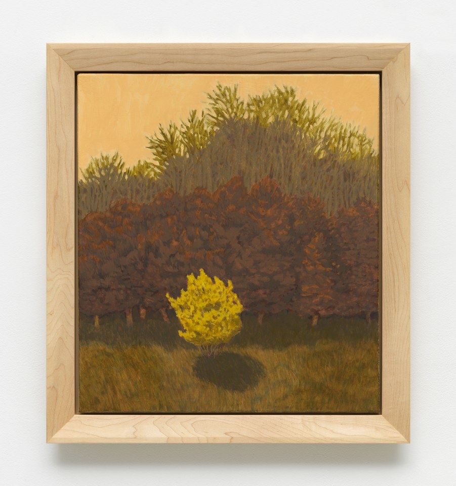 Jared Buckhiester, Officially, it was night., 2025