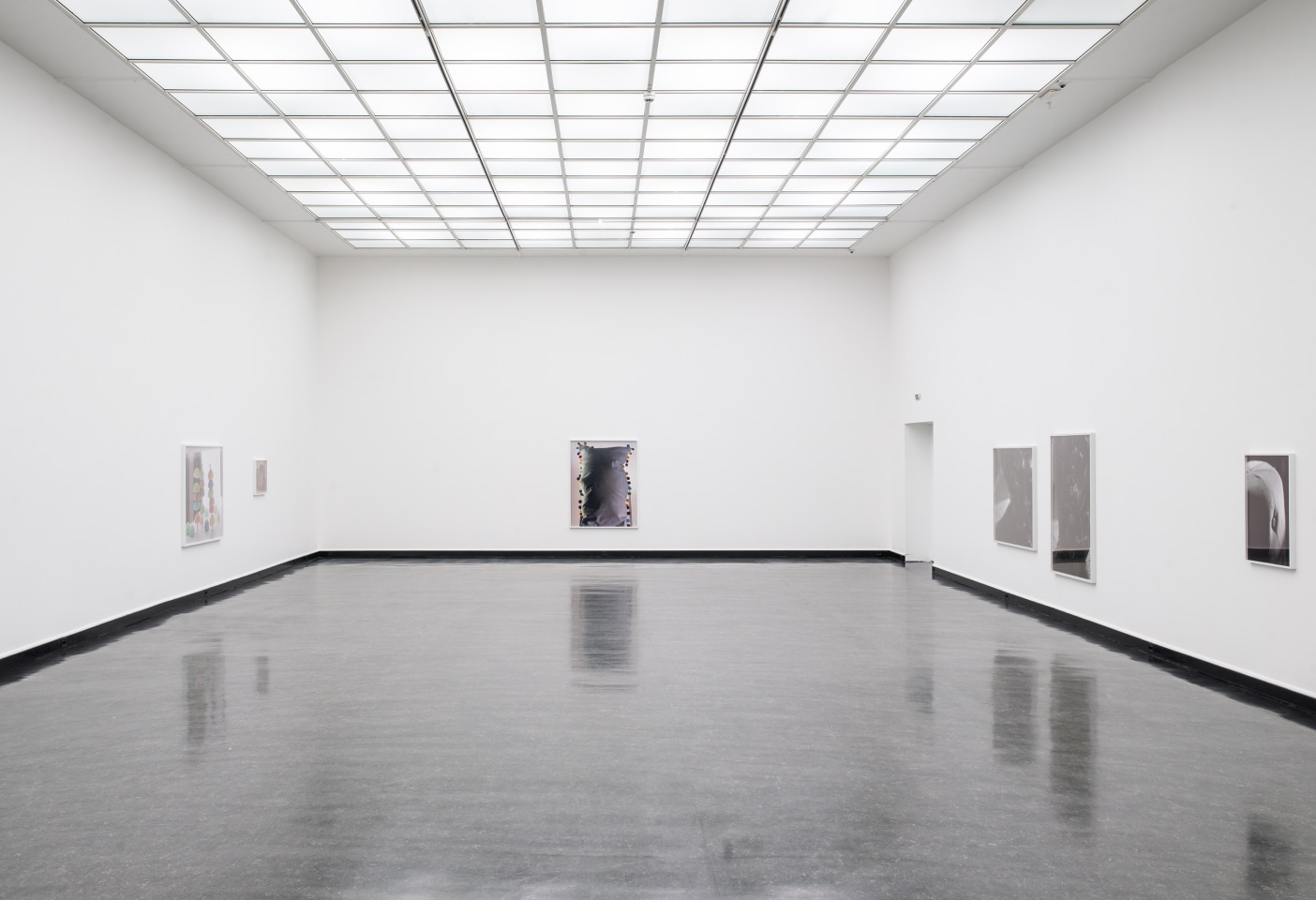 Torbj&oslash;rn R&oslash;dland