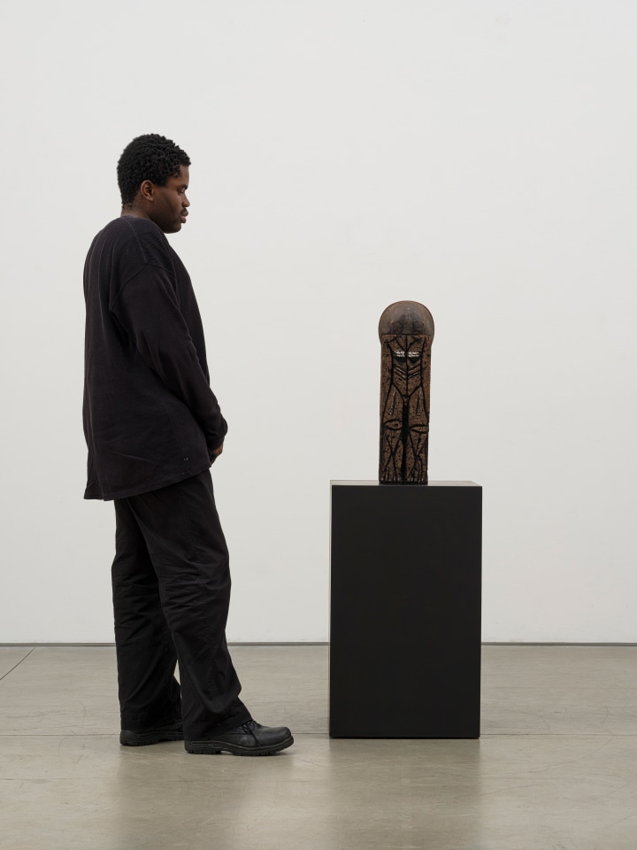 Huma Bhabha, Professor, 2022