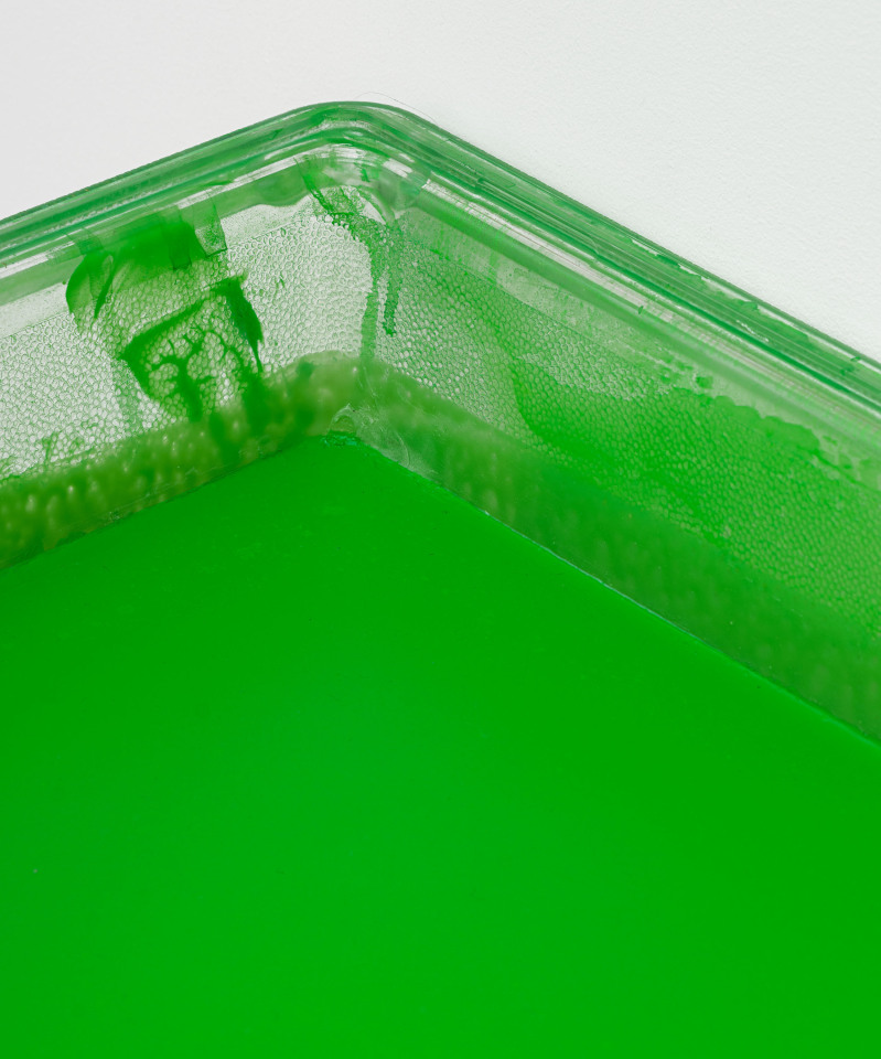 Shahryar Nashat, Lover_21.JPEG, 2022