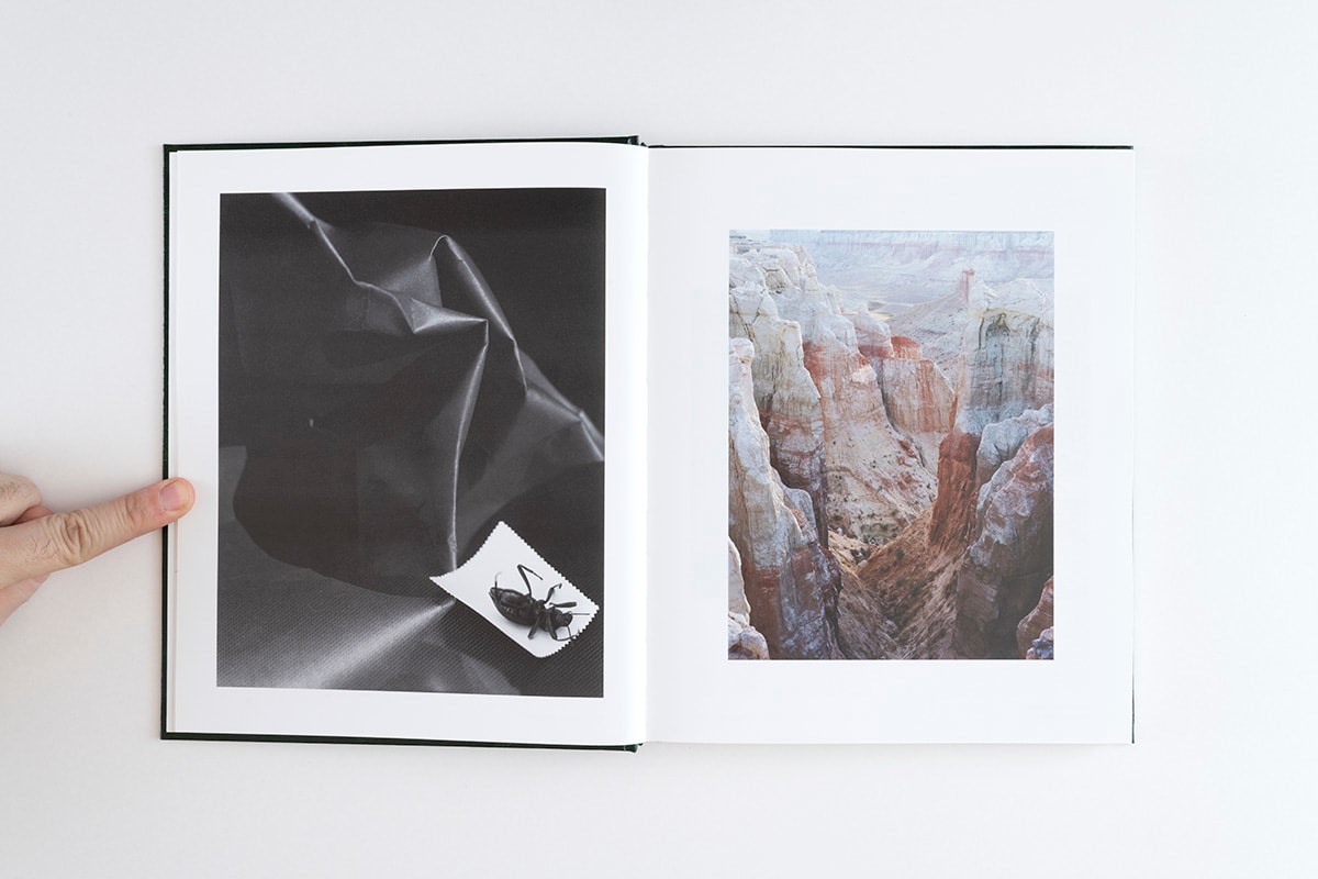 Torbj&oslash;rn R&oslash;dland