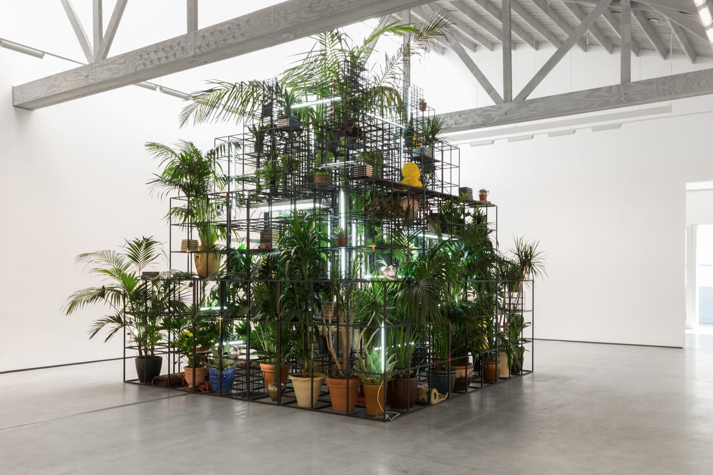 Rashid Johnson