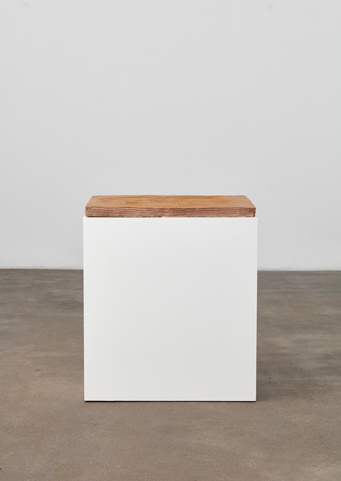 Two moccasins one dance, 2016