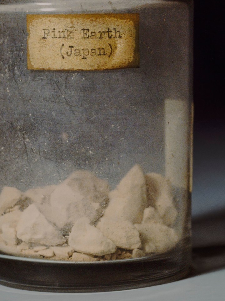 Rose Salane, Pink Earth: Japan, 2025