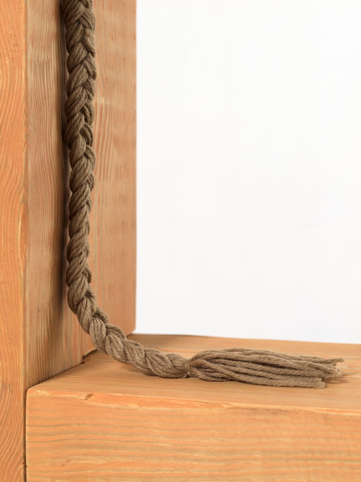 Jason Fox, Willie, 2022