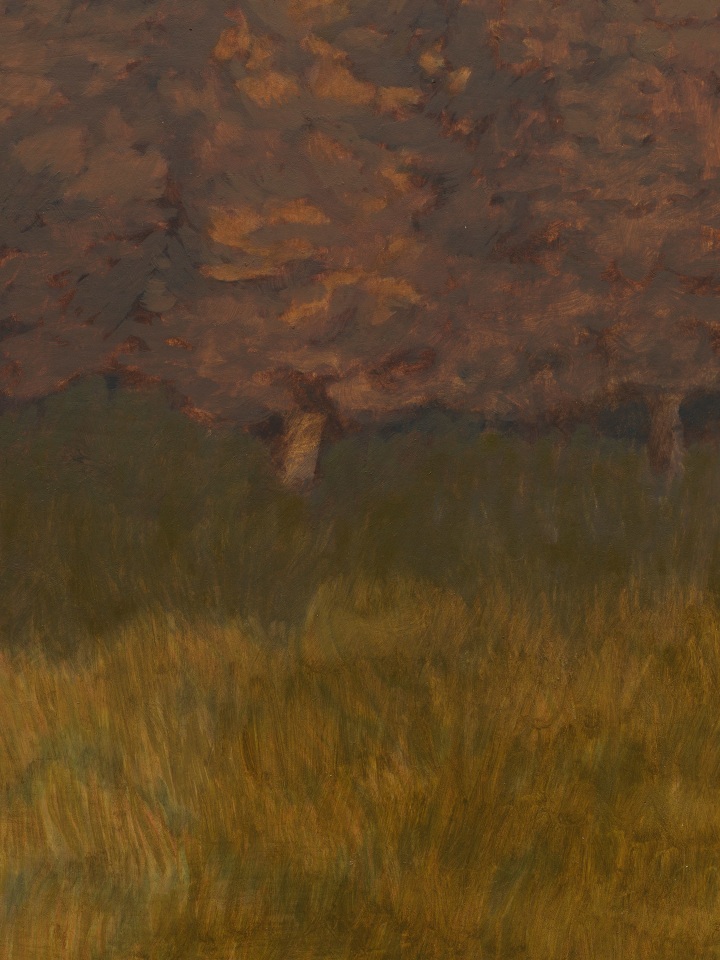 Jared Buckhiester, Officially, it was night., 2025