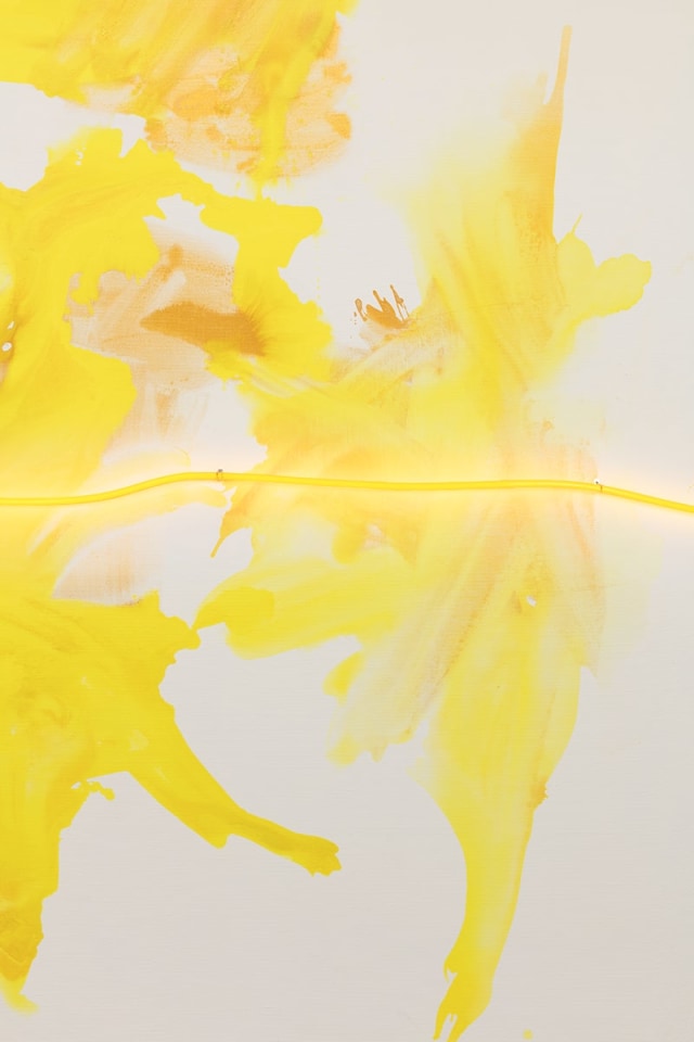 Mary Weatherford Daisy, 2017