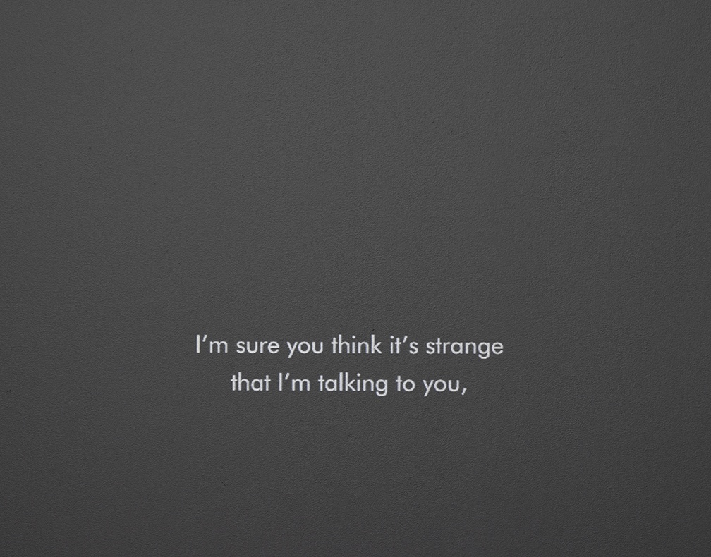 Adri&agrave; Juli&agrave; Sunken Rooms, 2011, (detail)