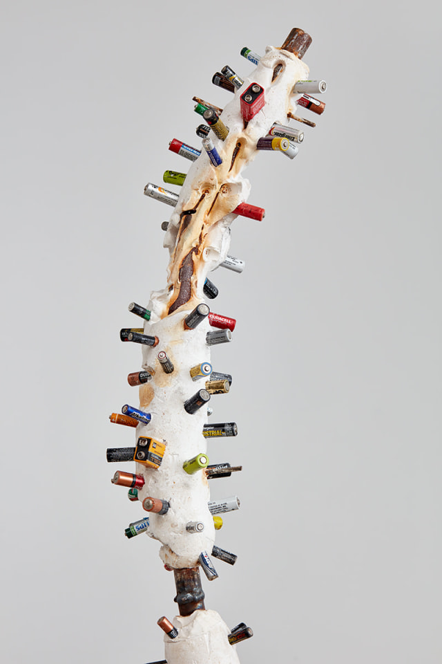 Evan Holloway Landscape, 2015