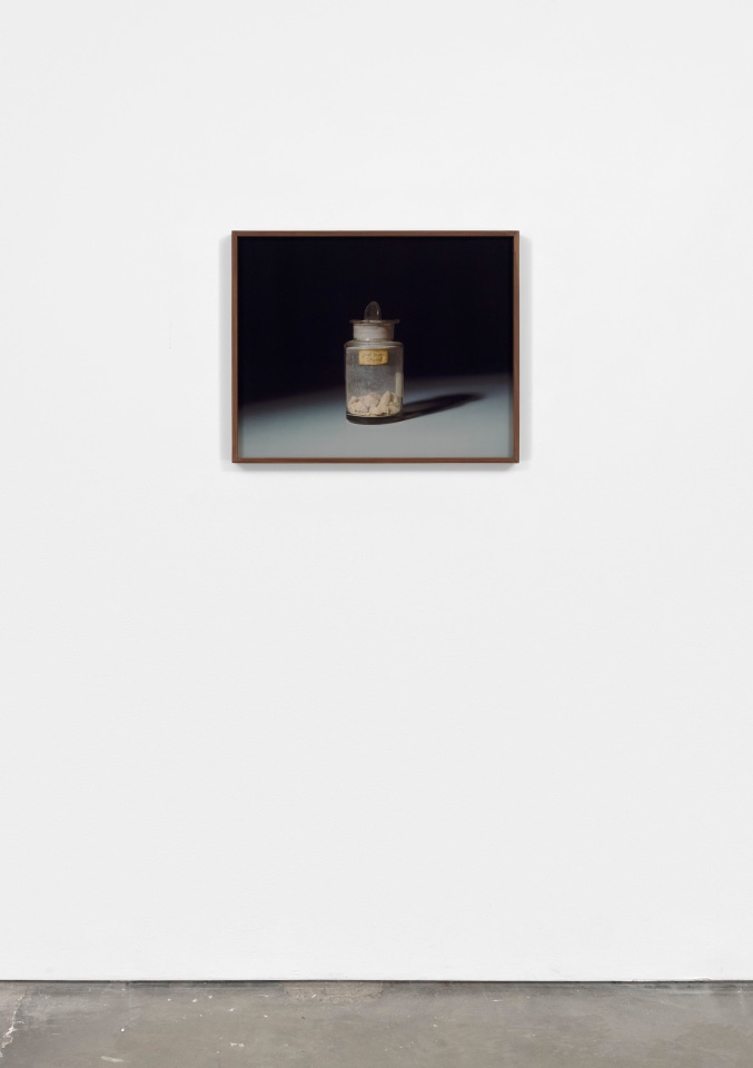 Rose Salane, Pink Earth: Japan, 2025