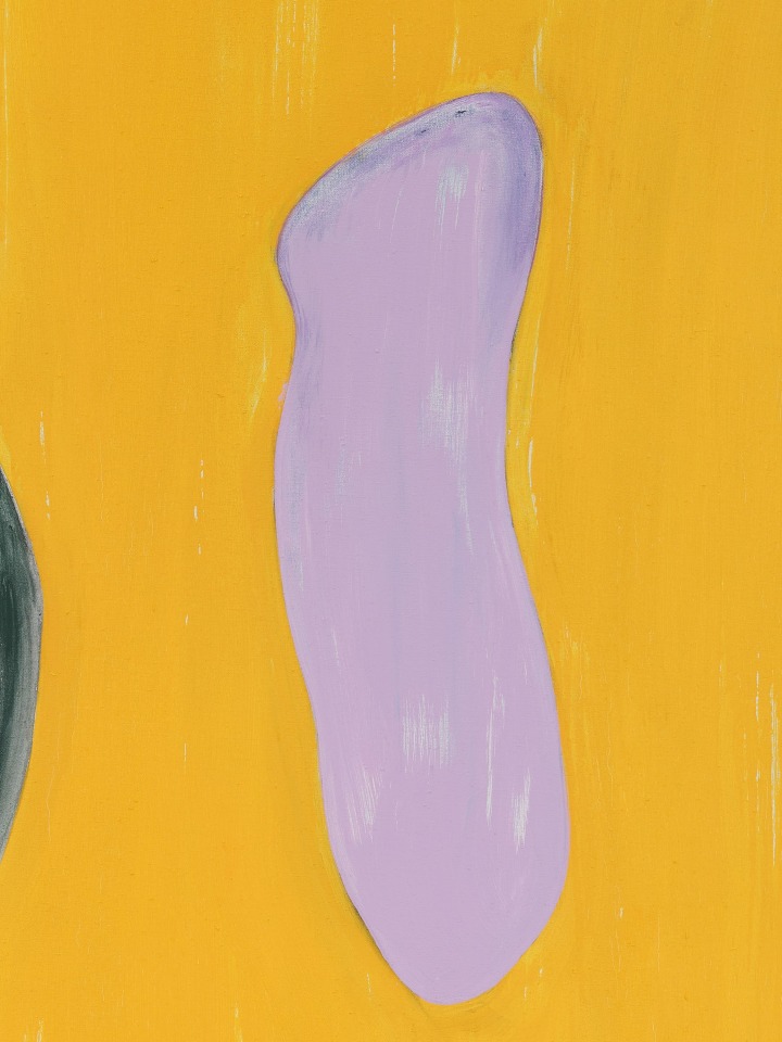 Ron Gorchov, Amymone, 2017