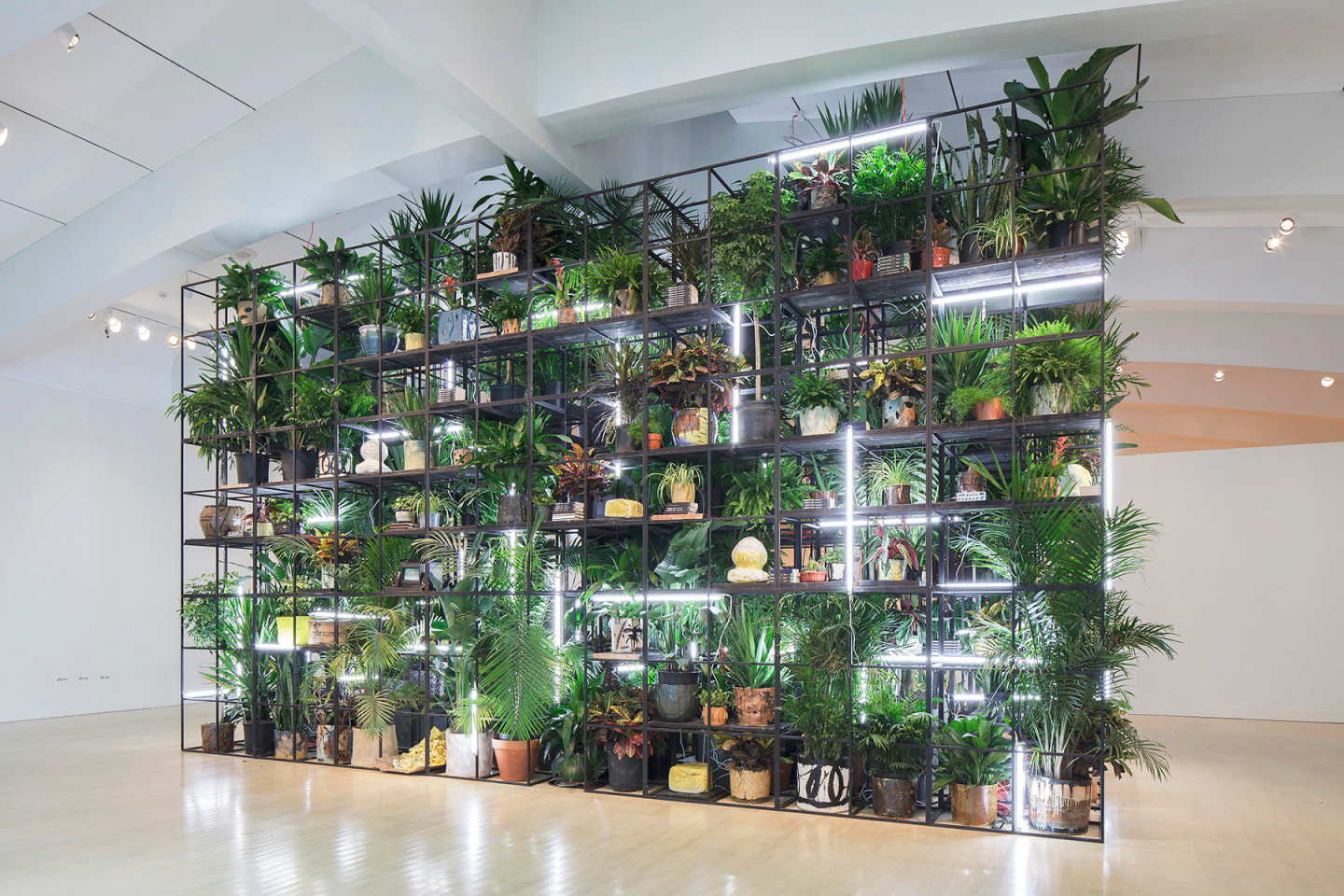 Rashid Johnson