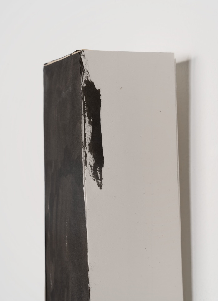Richard Tuttle, Black Light #1, 2021