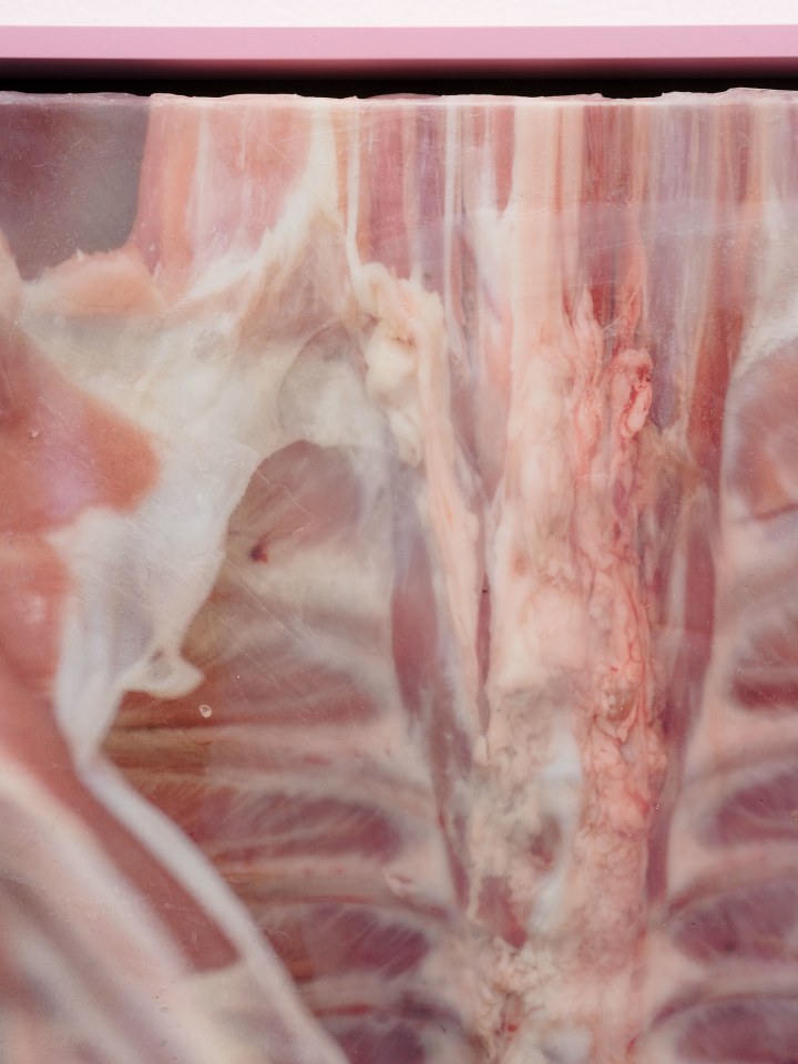 Shahryar Nashat, Lover_6.JPEG, 2022