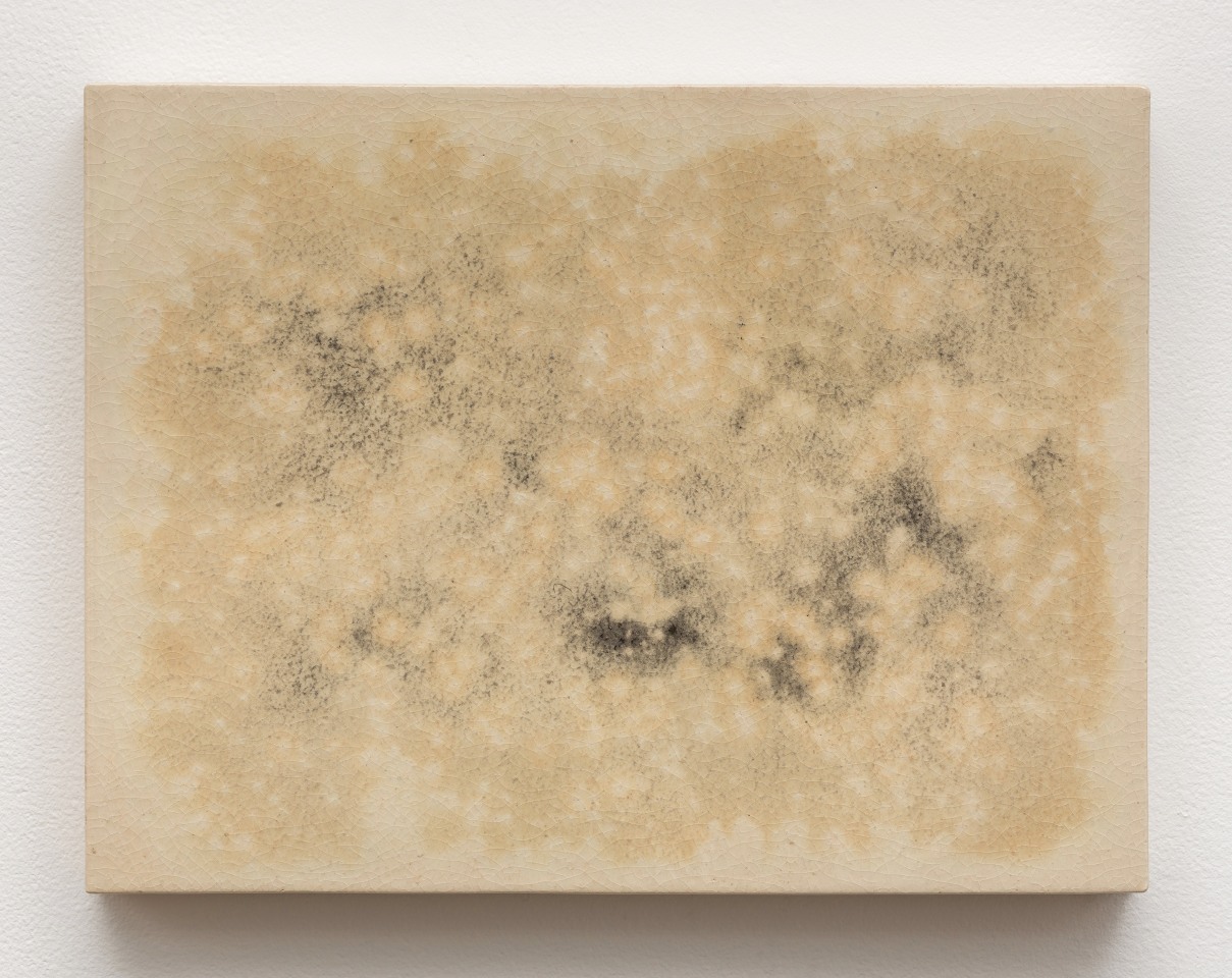 Mai-Thu Perret Morning comes, everywhere&rsquo;s the same, rain on a thousand houses, 2014
