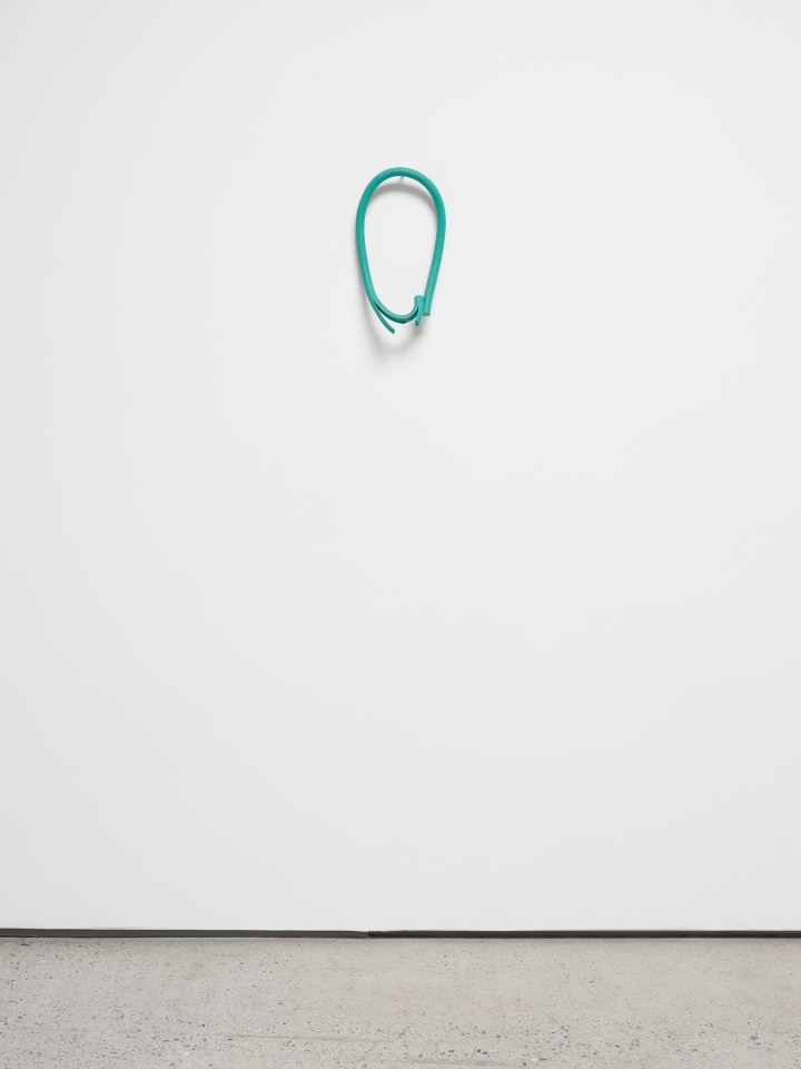 Ricky Swallow, Bulb (open) #3, 2019