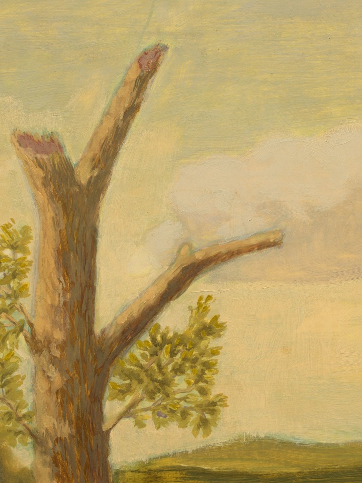 Jared Buckhiester, Continent Of Misbelief, 2025