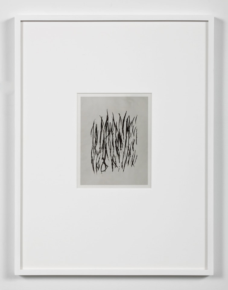 Anthony Pearson Untitled (Solarization Triptych), 2010