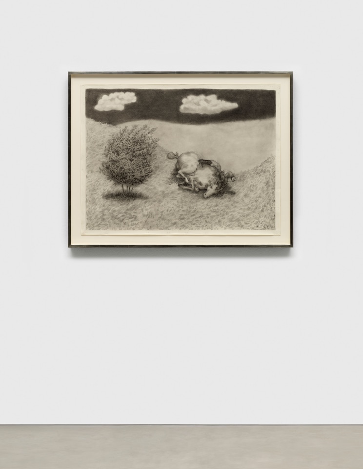 Jared Buckhiester, It is not a pretty story., 2025