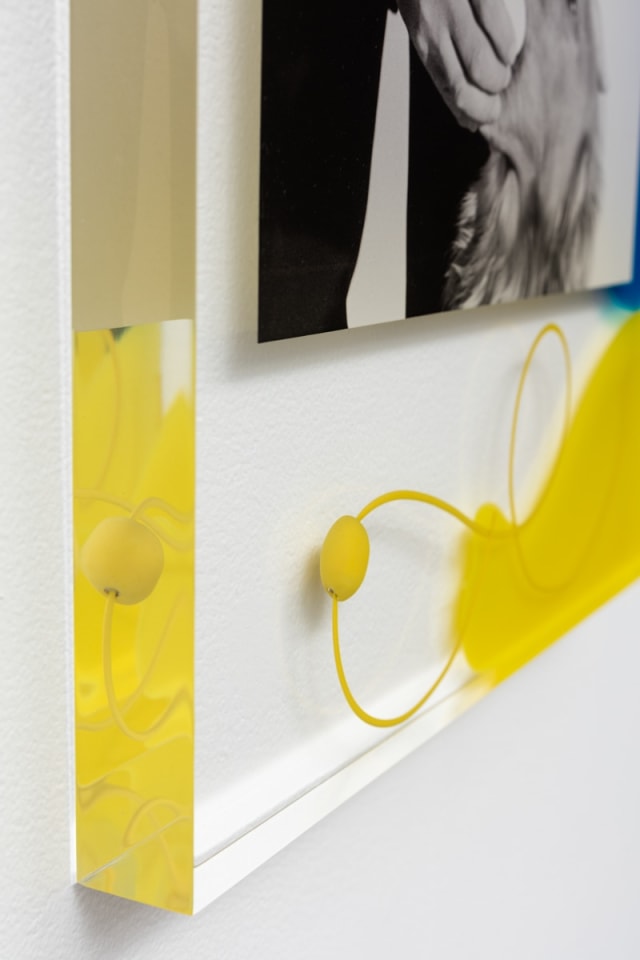 Elad Lassry Untitled (Man and Dog), 2015\