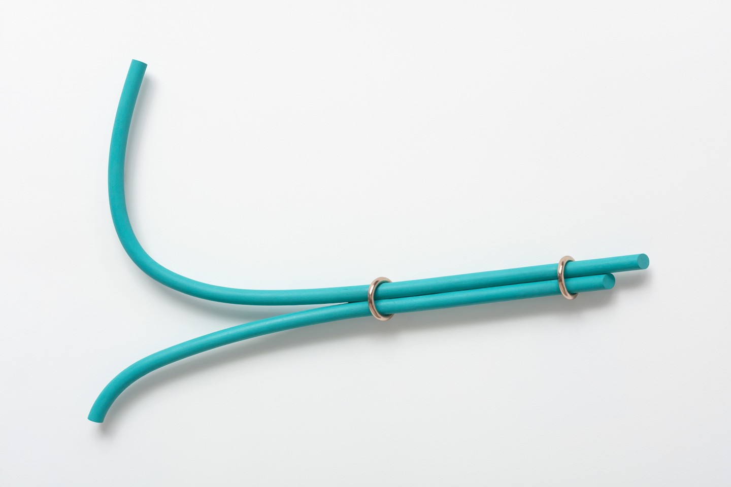 Ricky Swallow Split Bows with Rings (paired), 2018