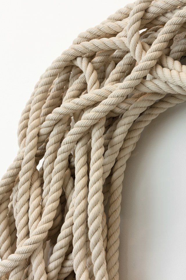 Ricky Swallow (0), 2016 - 2018