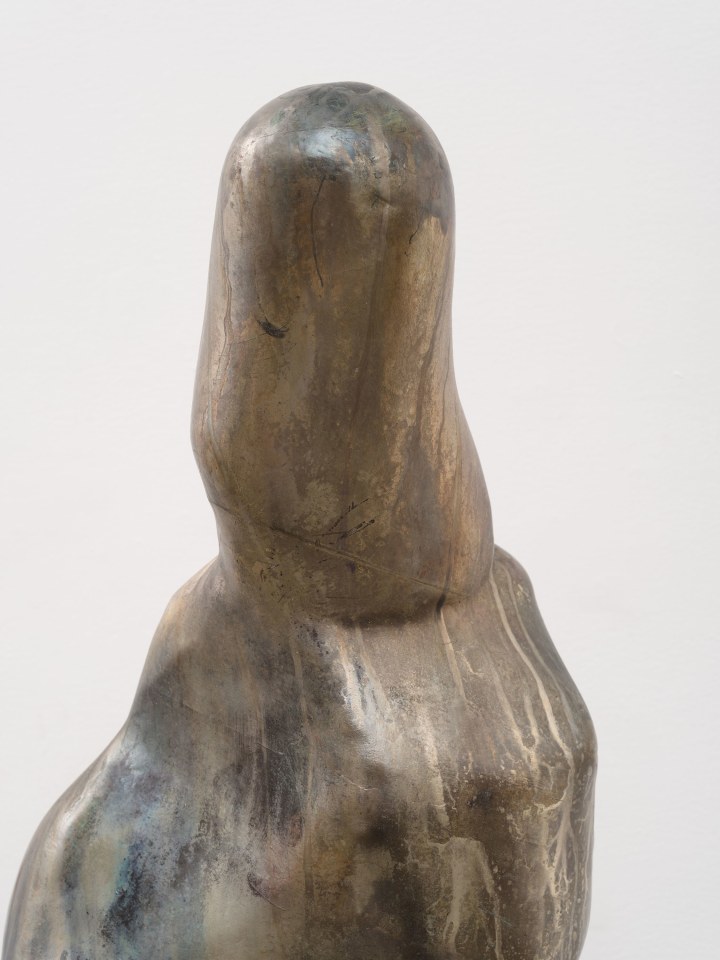 Berenice Olmedo, Nahuel, 2025