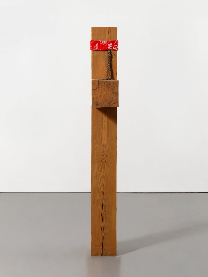 Jason Fox, Willie, 2022