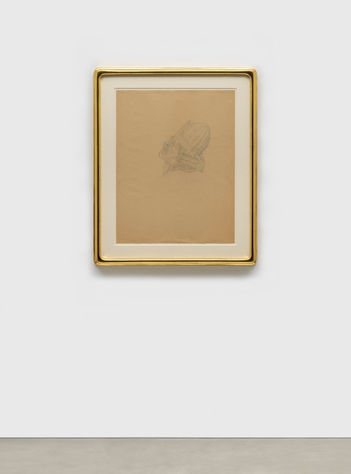 Jared Buckhiester, Untitled, 2014