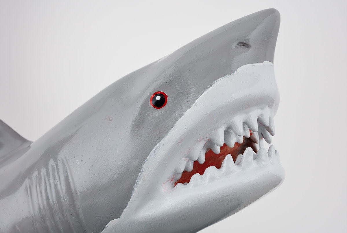 Will Boone ​Jaws, 2018