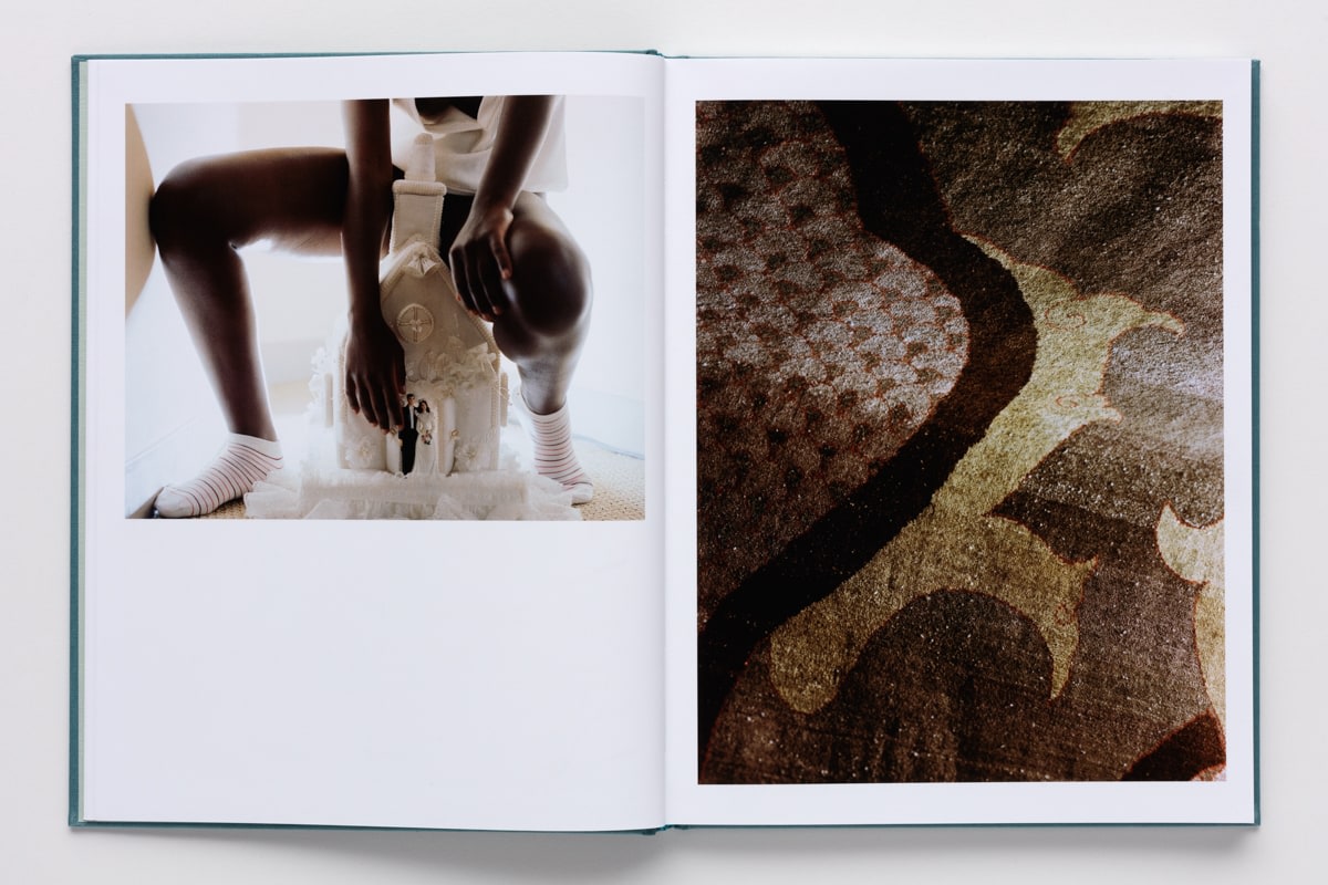 Torbjørn Rødland - Confabulations - Publications - David