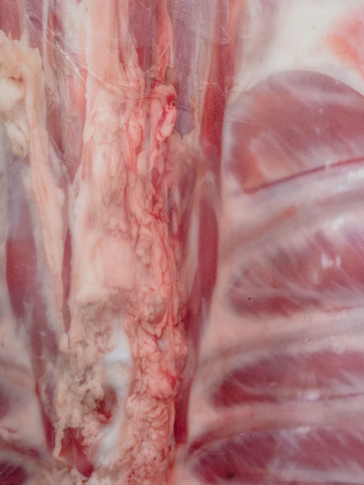 Shahryar Nashat, Lover_5.JPEG, 2022