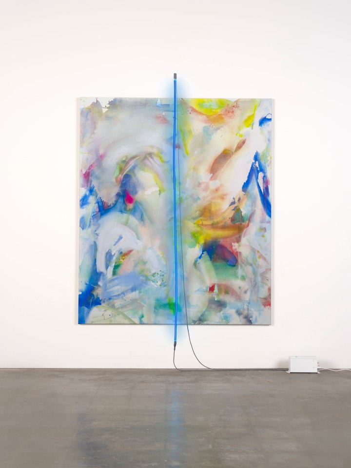 Mary Weatherford, The Birds of Kīlauea Point, 2021