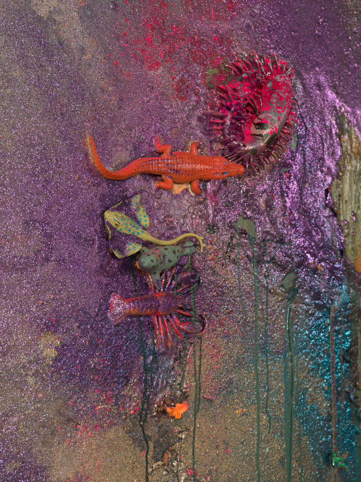 John Armleder Rasme, 2018