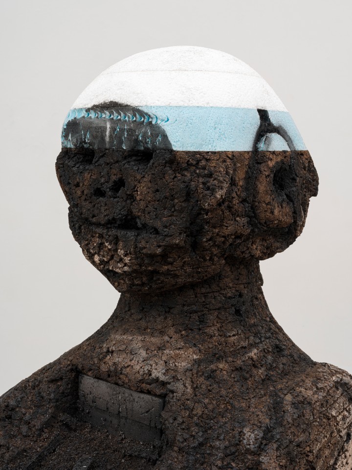 Huma Bhabha, Pilot, 2022