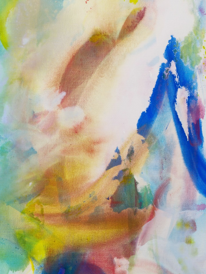 Mary Weatherford, The Birds of Kīlauea Point, 2021