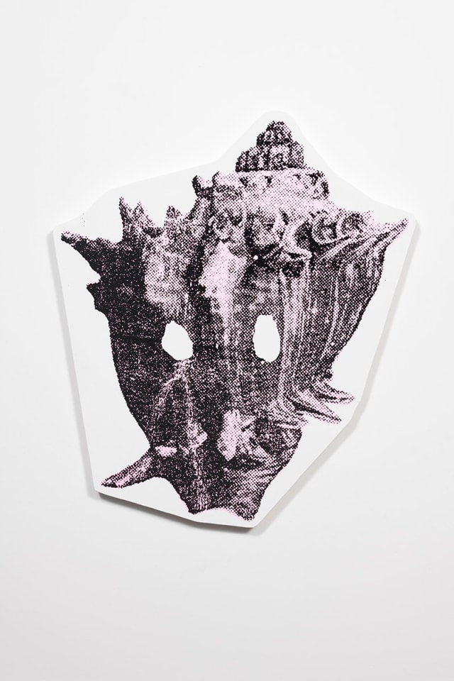 Will Boone Conch II, 2018