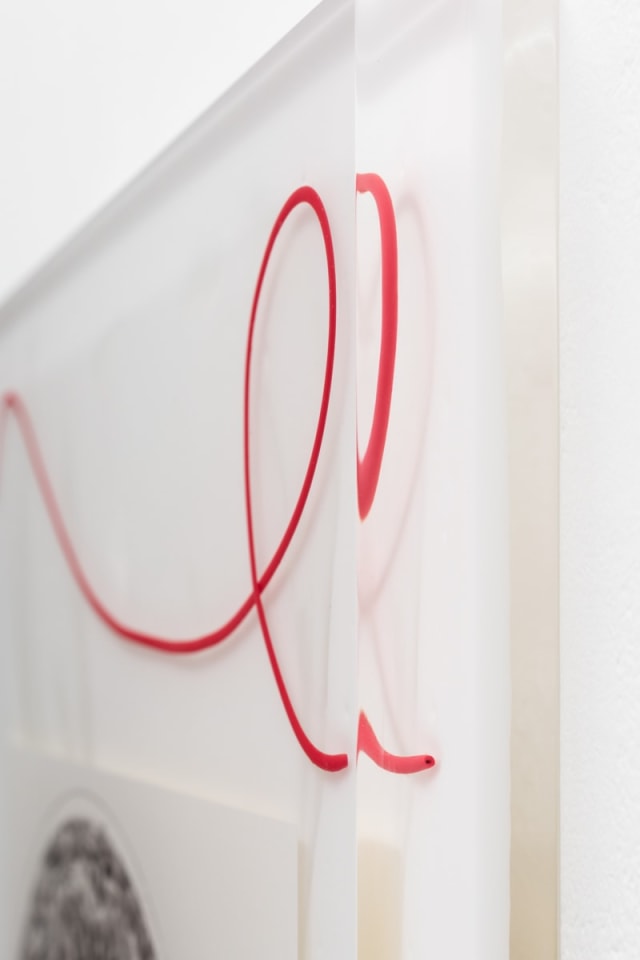 Elad Lassry Untitled (Peanuts), 2015