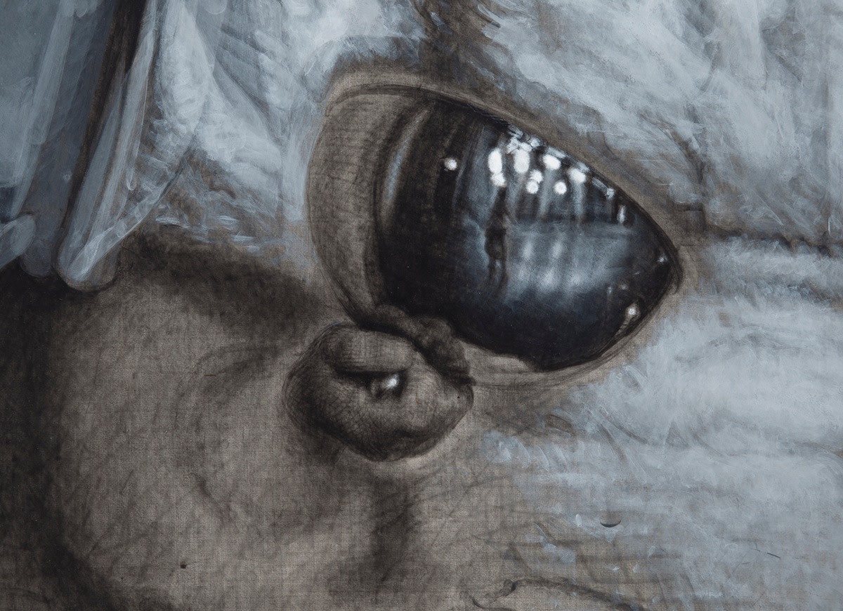 Pietro Roccasalva Il Traviatore, 2011