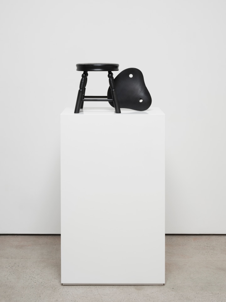 Ricky Swallow Duo, 2020