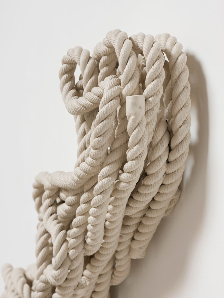 Ricky Swallow Stringer, 2020