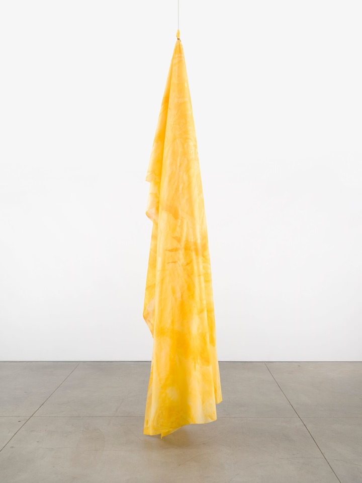 Sam Gilliam, Untitled, 2018