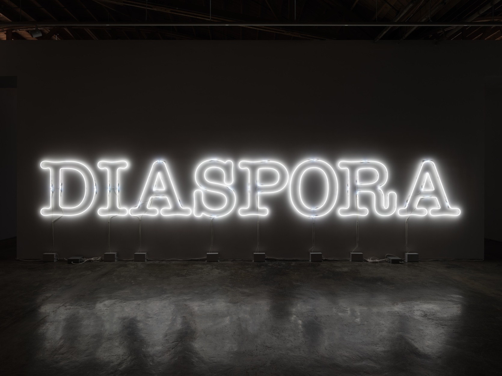 Large white neon letters that read "DIASPORA" mounted on the wall. 