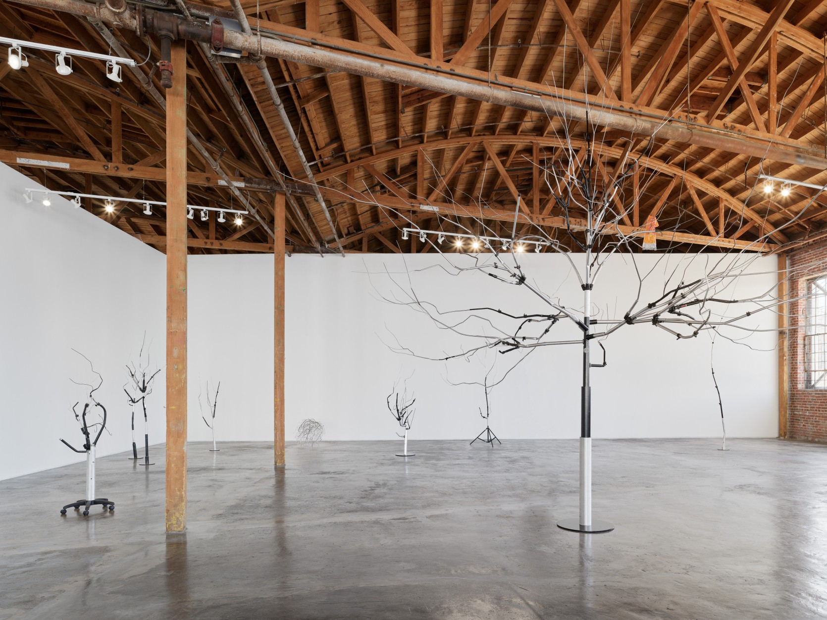 Josh Callaghan, "Family Tree," installation view, 2022